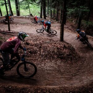 WOW Tour di Andalo e Molveno in E-Bike - immagine 6