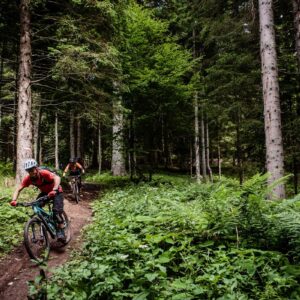 WOW Tour di Andalo e Molveno in E-Bike - immagine 5