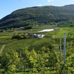 WOW Tour di Andalo e Molveno in E-Bike - immagine 2